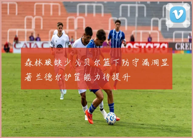 森林狼缺少戈贝尔篮下防守漏洞显著兰德尔护筐能力待提升