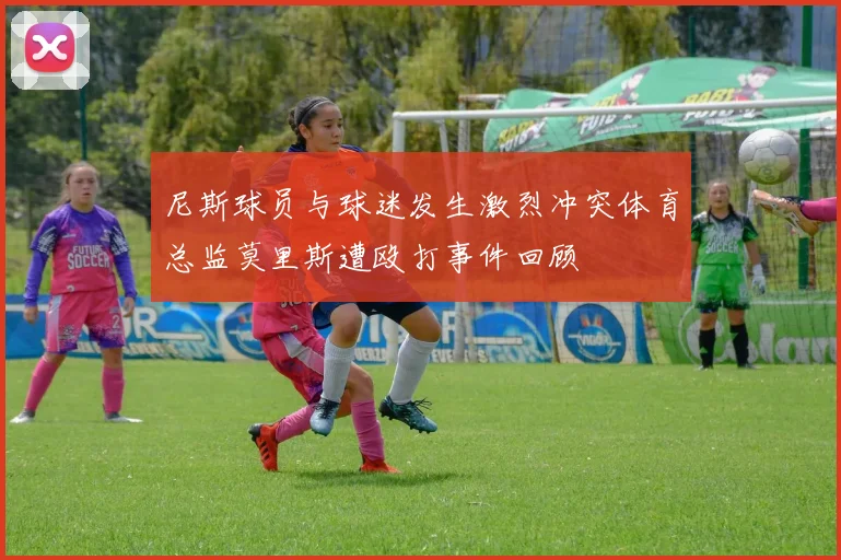 尼斯球员与球迷发生激烈冲突体育总监莫里斯遭殴打事件回顾