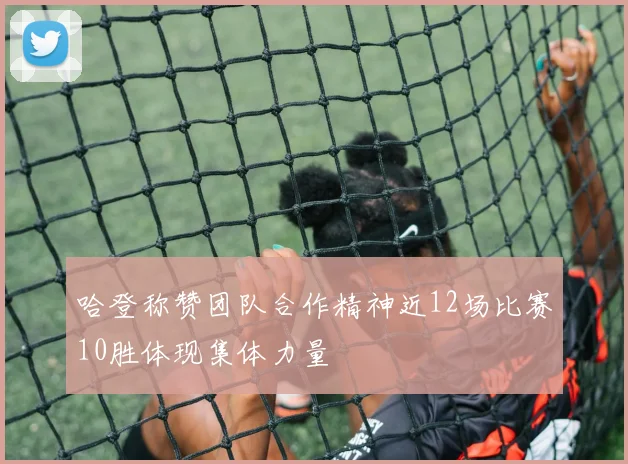 哈登称赞团队合作精神近12场比赛10胜体现集体力量
